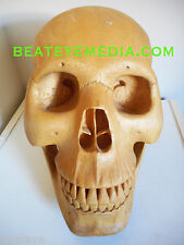 Skull orig art for sale  Long Beach