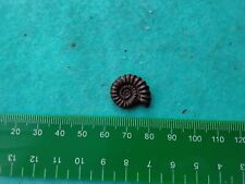 Pyrite ammonite 17mm for sale  WEST BROMWICH