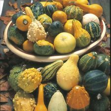 Mix gourds 10x for sale  GLOUCESTER