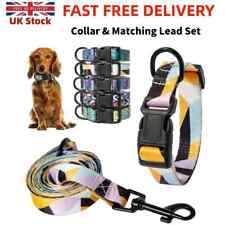 Funky dog collar for sale  BURGESS HILL