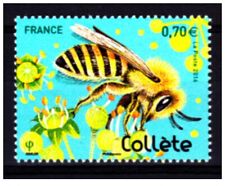 2016 solitary bees d'occasion  Lille