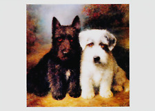 Canine art dogs for sale  CANNOCK