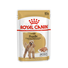 Royal canin poodle usato  Taglio Di Po
