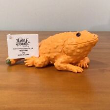 home bearded dragon for sale  Hudson