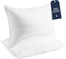 Bed pillows standard for sale  Whittier