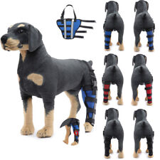 Pet wrist support for sale  USA