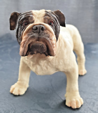 Hund englische bulldogge gebraucht kaufen  Owingen