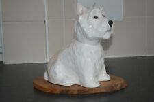 west highland terrier for sale  CAIRNDOW