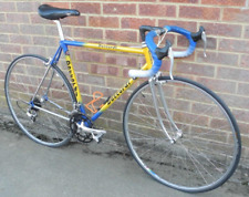 53cm daccordi griffe for sale  BANBURY