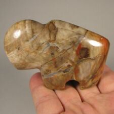 3.1 petrified wood for sale  Acworth