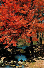Postcard vermont flaming for sale  Flagstaff