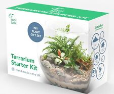 Rootbox terrarium kit for sale  LONDON