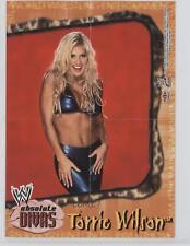 Usado, 2002 Fleer WWE Absolute Divas mini pôsteres Torrie Wilson (fundo vermelho) comprar usado  Enviando para Brazil