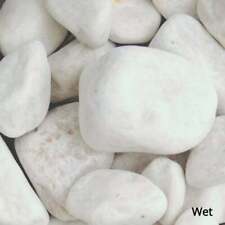 White pebbles premium for sale  CARLISLE