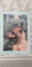 Pinscher nano lorena usato  Cremona