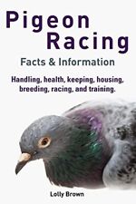 Pigeon racing handling for sale  USA
