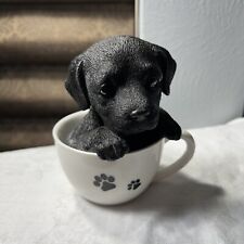 Black lab teacup for sale  Spring