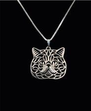 Shorthair cat silver for sale  Oklahoma City