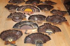 Turkey tail fans for sale  Brandon