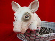 Bull terrier puppy for sale  Pasadena