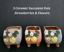 Ceramic succulent pots for sale  Richmond