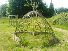 Mixed living willow for sale  EXETER