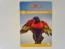 Rainbow lorikeet 2016 for sale  Saint Louis