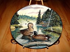 Living nature ducks for sale  Shipping to Ireland