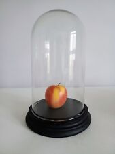 Glass dome bell for sale  LONDON