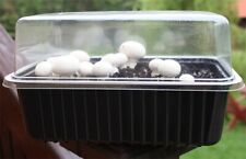 Button mushroom growing d'occasion  Expédié en Belgium