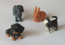 Miniature dogs cat for sale  DEVIZES