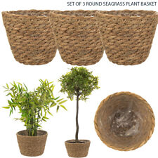 Seagrass basket belly for sale  GLASGOW