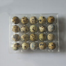 50pcs quail egg for sale  Shipping to Ireland