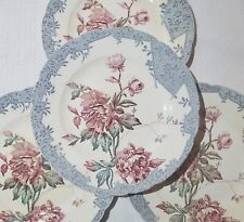 Lot assiettes plates d'occasion  Saumur