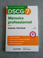 Dscg7 mémoire professionnel d'occasion  Argentré