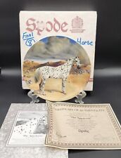 Spode appaloosa horse for sale  Rock Valley