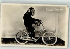 39884231 basel schimpanse gebraucht kaufen  Deutschland