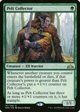 Usado, 1x PELT COLLECTOR - Elf - Ravnica - MTG - Magic the Gathering - NM comprar usado  Enviando para Brazil