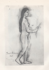 Picasso pablo nudo usato  Castellammare Di Stabia