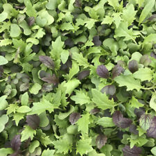 Ultimate hydroponic mix for sale  SPALDING