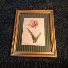 Vintage tulipe cultivee for sale  Savannah