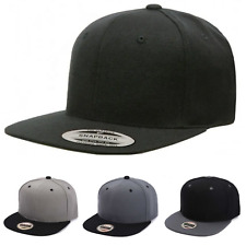 Snapback cap panel gebraucht kaufen  Delmenhorst