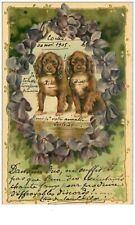 Chiens. 25.chiots teckel d'occasion  France