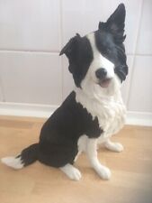 Border collie country for sale  CROMER