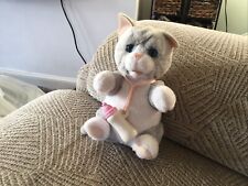 Newborn kitten clover for sale  CARLISLE