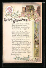 Lithographie braunschweig rtsp gebraucht kaufen  Berlin