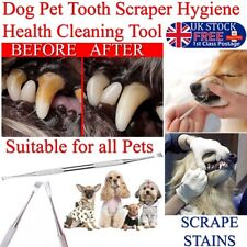 Raspador de dientes dental para perro gato animal desescalador rascador cuidado de mascotas medentra ISO CE segunda mano  Embacar hacia Argentina
