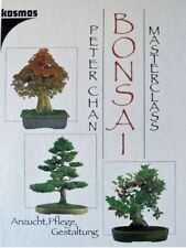 Bonsai masterclass anzucht gebraucht kaufen  Knielingen