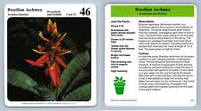 Used, Brazilian Aechmea #23 Orchids - My Green Gardens 1987 Cardmark Card for sale  Shipping to South Africa
