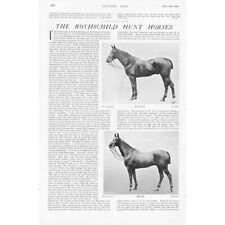 Rothschild hunt horses for sale  Shipping to Ireland